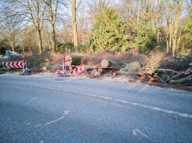 Hamburg ağaçlar fırtınada cordon kasetle Feuerwehr Sperrzone Almanca bir metnin itfaiye sınırlı alan için bozdu.