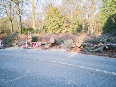 Hamburg ağaçlar fırtınada cordon kasetle Feuerwehr Sperrzone Almanca bir metnin itfaiye sınırlı alan için bozdu.