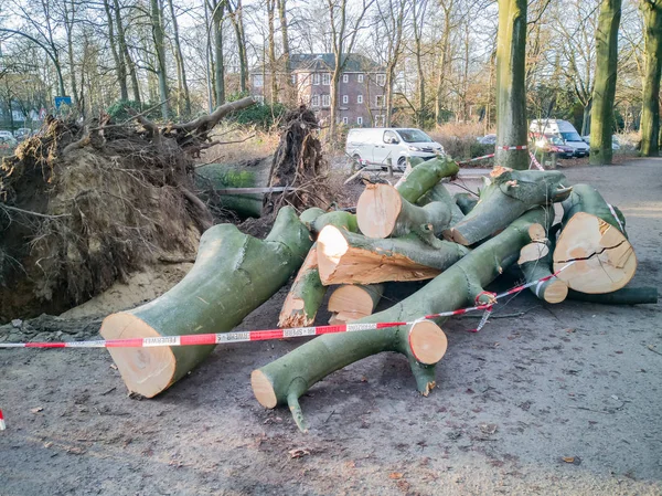 Hamburg ağaçlar fırtınada cordon kasetle Feuerwehr Sperrzone Almanca bir metnin itfaiye sınırlı alan için bozdu.