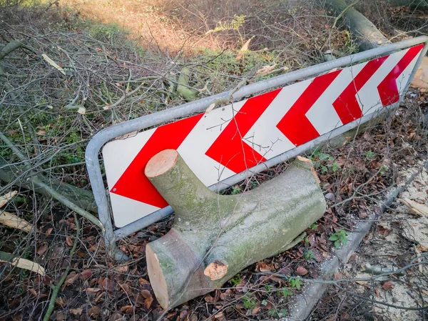 Tempesta Amburgo Alberi Rovesciati Con Nastro Cordone Feuerwehr Sperrzone Testo — Foto Stock