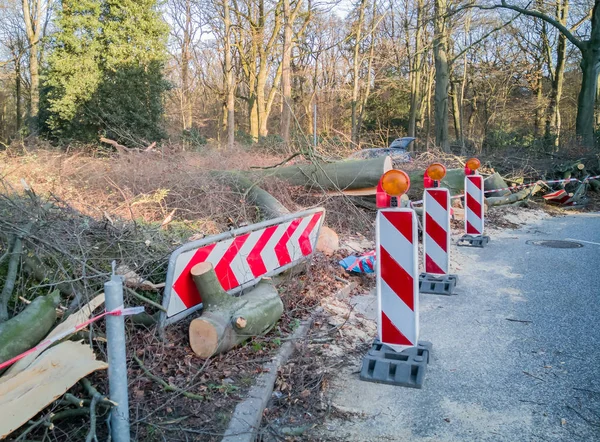 Hamburg ağaçlar fırtınada cordon kasetle Feuerwehr Sperrzone Almanca bir metnin itfaiye sınırlı alan için bozdu.