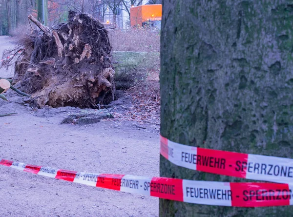 Storm Hamburg Trees Overturned Cordon Tape Feuerwehr Sperrzone German Text — Stock Photo, Image