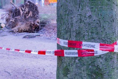 Hamburg ağaçlar fırtınada cordon kasetle Feuerwehr Sperrzone Almanca bir metnin itfaiye sınırlı alan için bozdu.