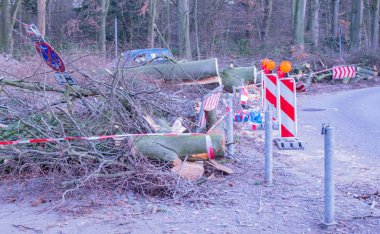 Hamburg ağaçlar fırtınada cordon kasetle Feuerwehr Sperrzone Almanca bir metnin itfaiye sınırlı alan için bozdu.