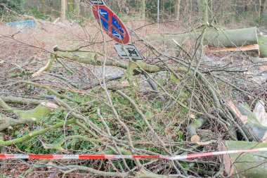 Hamburg ağaçlar fırtınada cordon kasetle Feuerwehr Sperrzone Almanca bir metnin itfaiye sınırlı alan için bozdu.