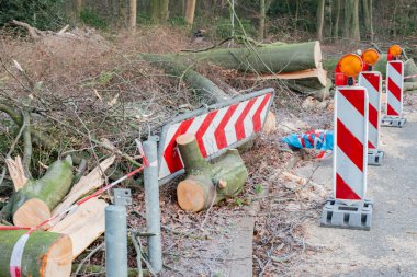 Hamburg ağaçlar fırtınada cordon kasetle Feuerwehr Sperrzone Almanca bir metnin itfaiye sınırlı alan için bozdu.
