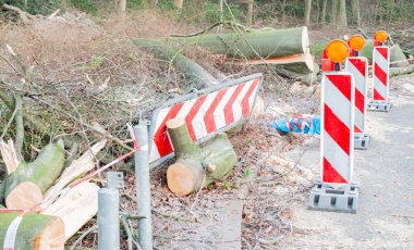 Hamburg ağaçlar fırtınada cordon kasetle Feuerwehr Sperrzone Almanca bir metnin itfaiye sınırlı alan için bozdu.