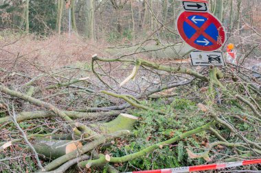 Hamburg ağaçlar fırtınada cordon kasetle Feuerwehr Sperrzone Almanca bir metnin itfaiye sınırlı alan için bozdu.