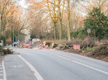 Hamburg ağaçlar fırtınada cordon kasetle Feuerwehr Sperrzone Almanca bir metnin itfaiye sınırlı alan için bozdu.