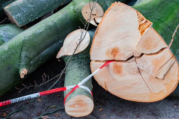 Tempesta Amburgo Alberi Rovesciati Con Nastro Cordone Feuerwehr Sperrzone Testo — Foto Stock