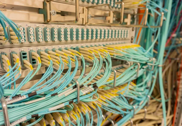 Netwerkswitch Netwerkkabel Een Datacenter — Stockfoto