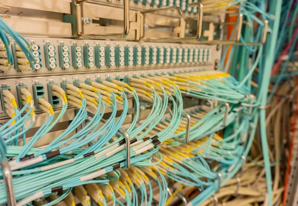 Netwerkswitch Netwerkkabel Een Datacenter — Stockfoto