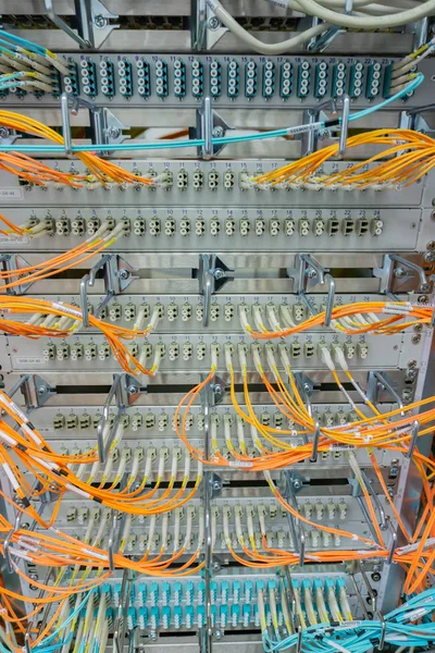 Network switch and network cable in a data center