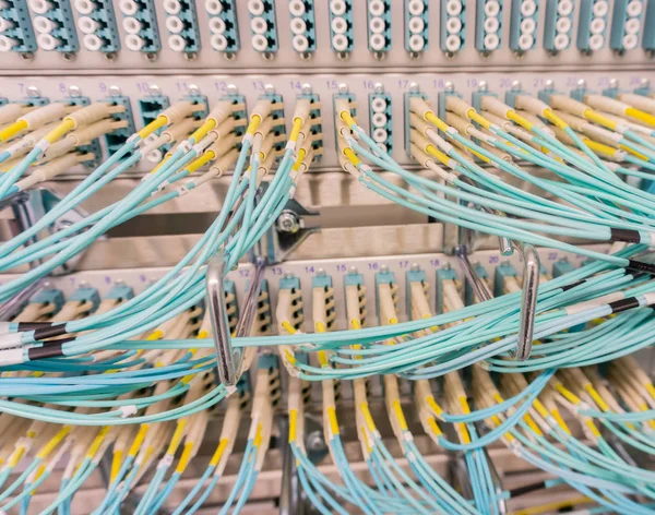 数据中心中的网络交换机和网络电缆 — 图库照片