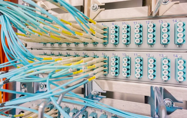 Network switch and network cable in a data center