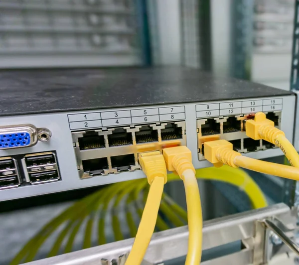 Network switch and network cable in a data center