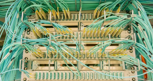 Netwerkswitch Netwerkkabel Een Datacenter — Stockfoto