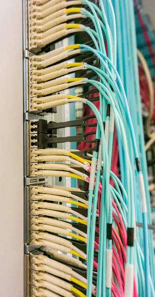 Network Switch Network Cable Data Center — Stock Photo, Image