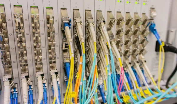 Network Switch Network Cable Data Center — Stock Photo, Image