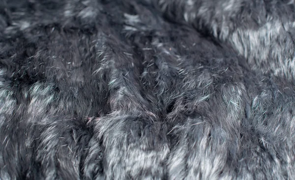 Moda Nero Bianco Pelliccia Coniglio Fotografato Come Sfondo — Foto Stock