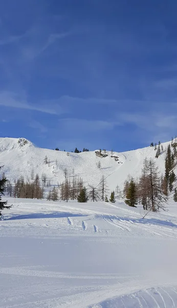 Snötäckt Bergslandskap Skidområdet Kaprun Österrikiska Alperna — Stockfoto