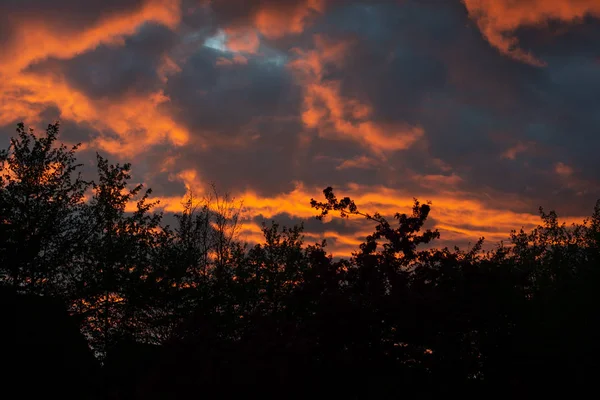 手前のシルエットと青の時間の夕日 — ストック写真