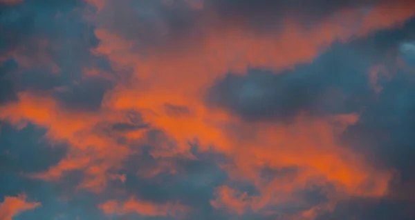 手前のシルエットと青の時間の夕日 — ストック写真