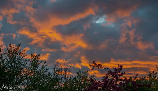 手前のシルエットと青の時間の夕日 — ストック写真