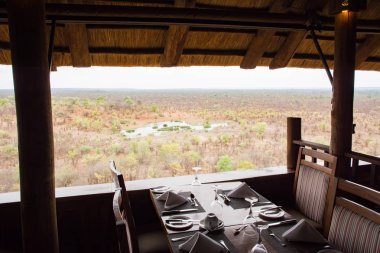 Lodges Veldt Hwange National Park Zimbabve Güney Afrika