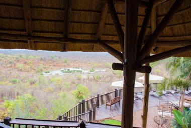Lodges Veldt Hwange National Park Zimbabve Güney Afrika