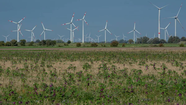 Turbinas Eólicas Terra Costa Mar Norte Schleswig Holstein — Fotografia de Stock