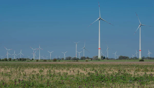Turbinas Eólicas Terra Costa Mar Norte Schleswig Holstein — Fotografia de Stock