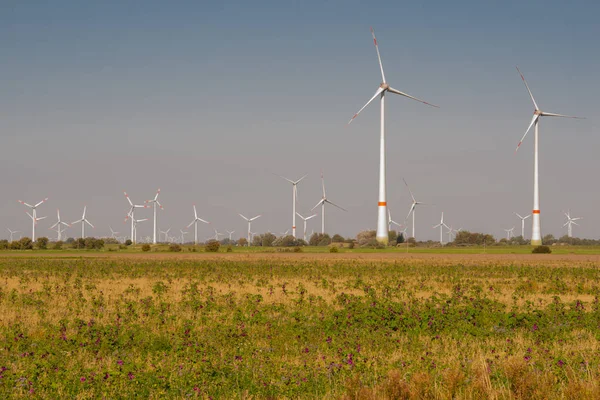 Turbiny Wiatrowe Onshore Morzu Północnym Wybrzeżu Schleswig Holstein — Zdjęcie stockowe