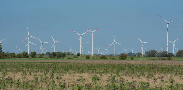 Wind turbines onshore at the North Sea coast of Schleswig Holstein