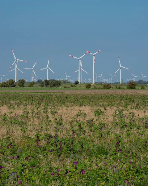 Wind turbines onshore at the North Sea coast of Schleswig Holstein