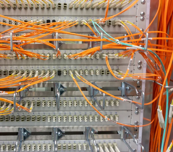 Network switch and network cable in a data center