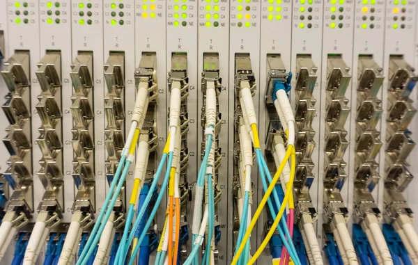 Nätverksswitch Och Nätverkskabel Ett Datacenter — Stockfoto