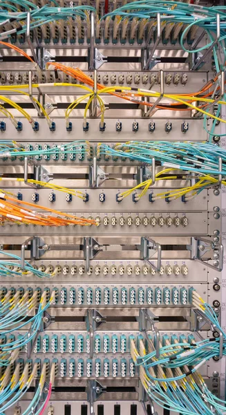네트워크 스위치와 데이터 센터에서 네트워크 케이블 — 스톡 사진