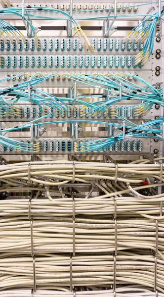 Network switch and network cable in a data center