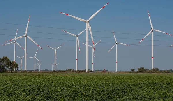 Wind turbines onshore at the North Sea coast of Schleswig Holstein