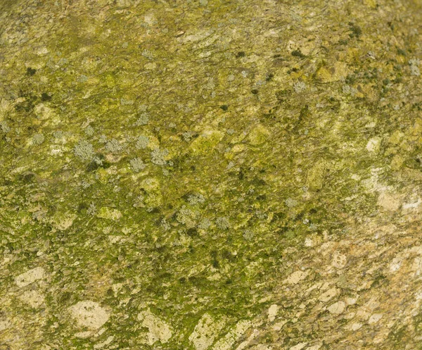 Текстура Каменной Стены Фон Композиции — стоковое фото
