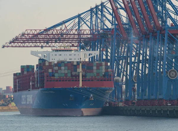 Hamburger Containerterminal Mautpflichtig Der Elbe — Stockfoto