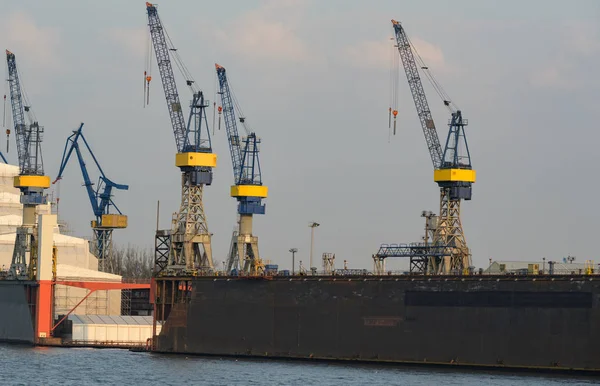 Porto Amburgo Terminal Container Tollerort Sull Elba — Foto Stock