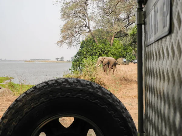 Zeltlager Und Elefant Der Savanne See Von Simbabwe Südafrika — Stockfoto