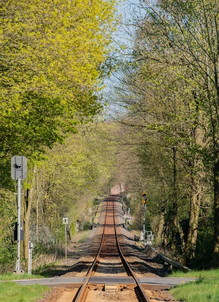 Uzun Demiryolu Yolu Ufka Doğru Uzanıyor — Stok fotoğraf