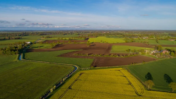 Drohnenflug Und Luftaufnahme Über Einem Rapsfeld — Stockfoto