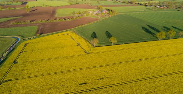 İnsansız hava araçları bir tecavüz alanının üzerinde uçuyor.