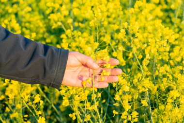 İnsansız hava araçları bir tecavüz alanının üzerinde uçuyor.