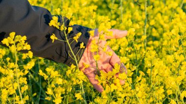 İnsansız hava araçları bir tecavüz alanının üzerinde uçuyor.