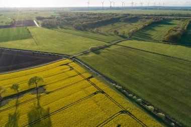 İnsansız hava araçları bir tecavüz alanının üzerinde uçuyor.